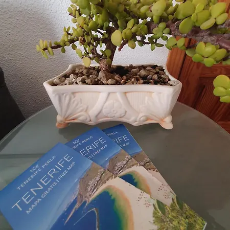 Vista Marina Tenerife Sur 아파트 로스 아브리고스